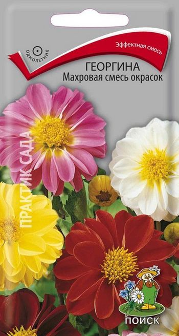 Георгина махровая СМЕСЬ ОКРАСОК 0,3гр. (Поиск)