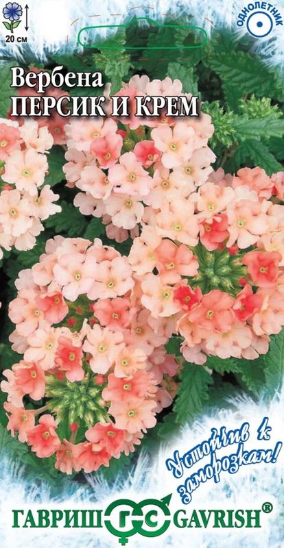 Вербена ПЕРСИК И КРЕМ 0,05г. (Гавриш)