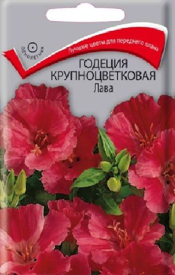 Годеция крупноцветковая ЛАВА 0,2гр. (Поиск)