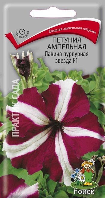 Петуния ампельная ЛАВИНА ПУРПУРНАЯ ЗВЕЗДА F1 10шт. (Поиск)