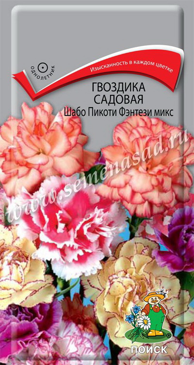 Гвоздика садовая ШАБО ПИКОТИ ФЭНТЕЗИ микс 0,3гр. (Поиск)