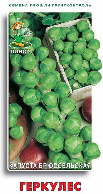 Капуста брюссельская ГЕРКУЛЕС 0,5гр. (Поиск)