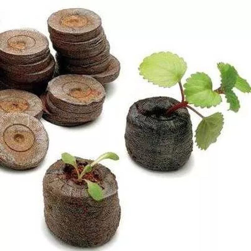 Таблетка торфяная d42мм. 43849 Джиффи Ф