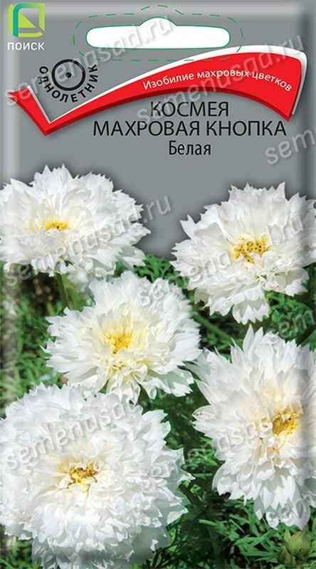 Космея Махровая КНОПКА Белая 0,1гр. (Поиск)