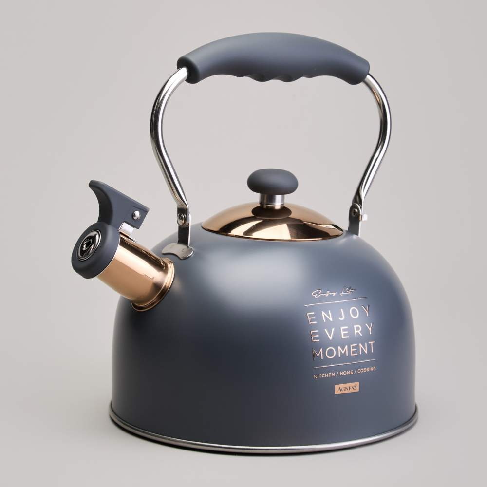 Чайник нерж. 914-161 2,5л. со свист. ВД