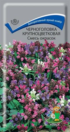 Черноголовка крупноцветковая СМЕСЬ ОКРАСОК (многолетняя) 25 шт. (Поиск)