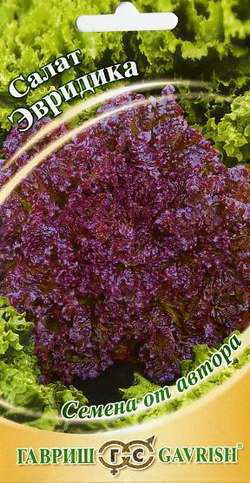 Салат ЭВРИДИКА, 0,5г. полукочанный, красный (Гавриш)