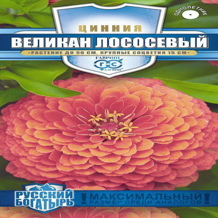 Цинния ВЕЛИКАН лососевый 0,3гр. (Гавриш)