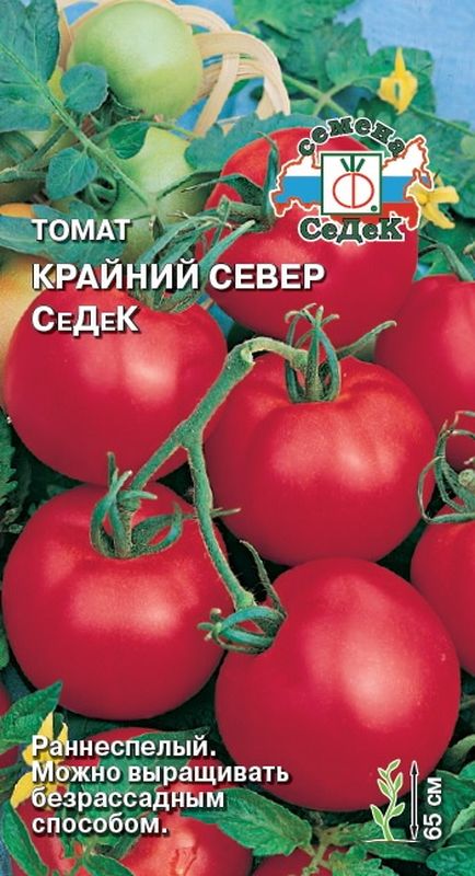 Томат КРАЙНИЙ СЕВЕР 0,1г. (СеДек)