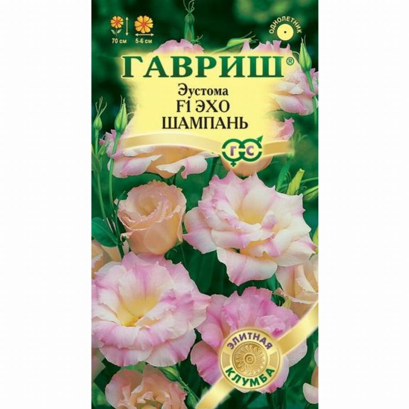 Эустома ЭХО Шампань F1 4шт. (Гавриш)