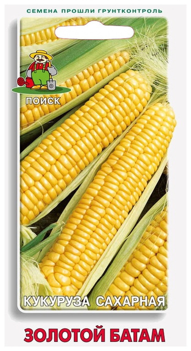 Кукуруза ЗОЛОТОЙ БАТАМ (сахарная) 10,0гр. (Поиск)