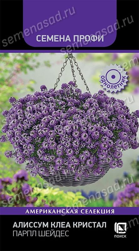 Алиссум КЛЕА КРИСТАЛ ПАРПЛ ШЕЙДЕС 20шт. (Поиск)