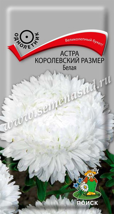 Астра КОРОЛЕВСКИЙ РАЗМЕР Белая 0,1гр. (Поиск)