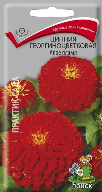Цинния георгиноцветковая АЛОЕ ПЛАМЯ 0,4гр. (Поиск)