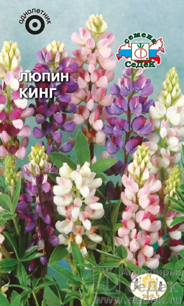 Люпин КИНГ (Хартвега, смесь цветов) 1гр. (Седек)