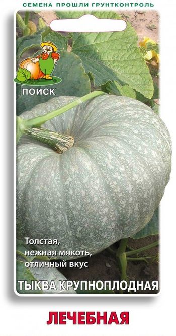 Тыква ЛЕЧЕБНАЯ крупноплодная 10шт. (Поиск)