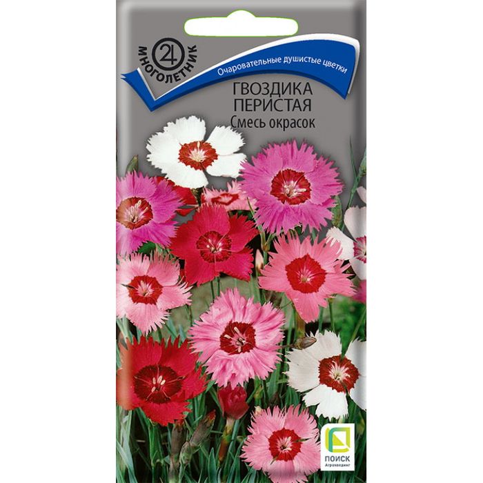 Гвоздика перистая СМЕСЬ ОКРАСОК 0,3гр. многолетник (Поиск)