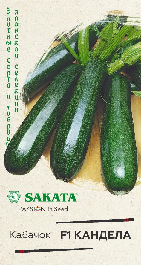 Кабачок КАНДЕЛА F1 5шт. (Гавриш)
