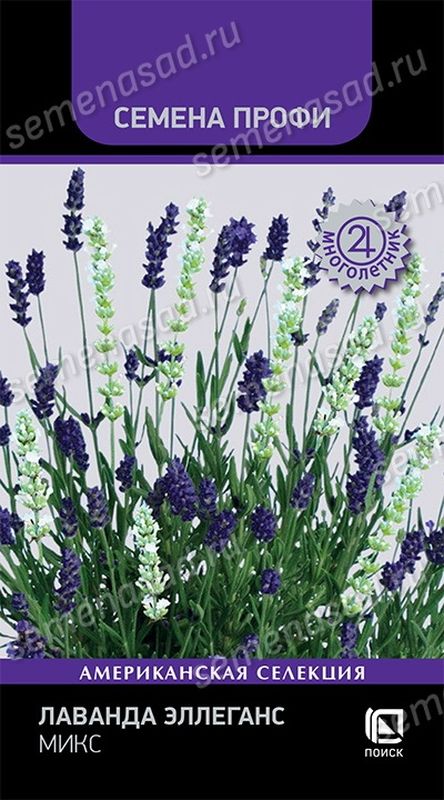 Лаванда ЭЛЛЕГАНС Микс 10шт. многолетник (Поиск)