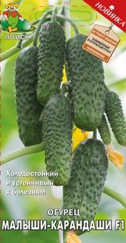 Огурец МАЛЫШИ-КАРАНДАШИ F1 12шт. (Поиск)