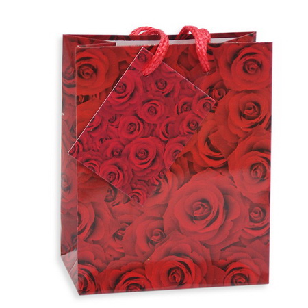 Пакет подарочный HK49616 (120*80*210мм)