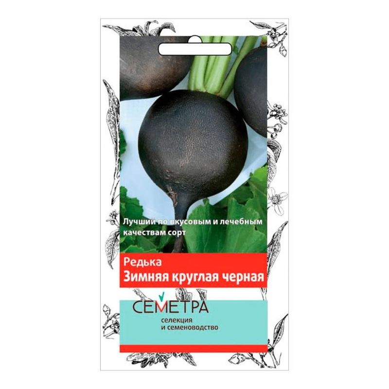 Редька ЗИМНЯЯ круглая черная 2,0г. (Семетра) (Поиск)