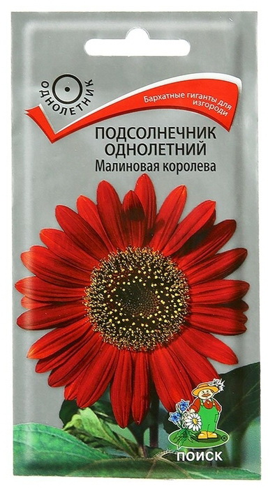 Подсолнечник МАЛИНОВАЯ КОРОЛЕВА 0,5гр. (Поиск)