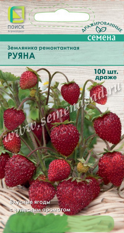 Земляника РУЯНА драже (ремонтантная) 100шт. (Поиск)