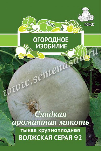Тыква ВОЛЖСКАЯ серая 92 крупноплодная 2,0гр. (Огородное изобилие)(Поиск)