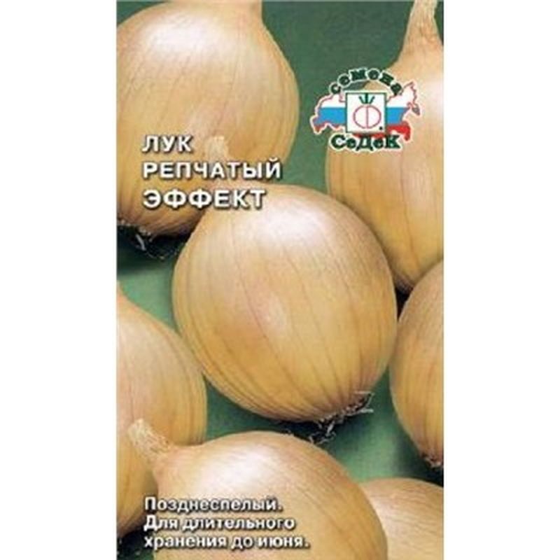 Лук репчатый ЭФФЕКТ 0,5г. (СеДек)