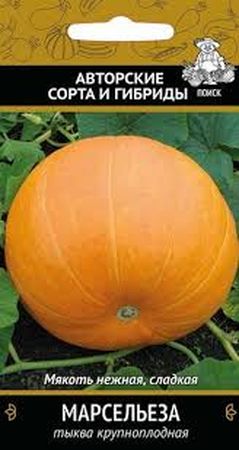 Тыква ФОНАРЬ крупноплодная 10шт. (Поиск)