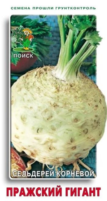 Сельдерей ПРАЖСКИЙ ГИГАНТ (корневой) 0,5гр. (Поиск)