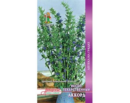 Иссоп лекарственный АККОРД 0,5гр. (Поиск)
