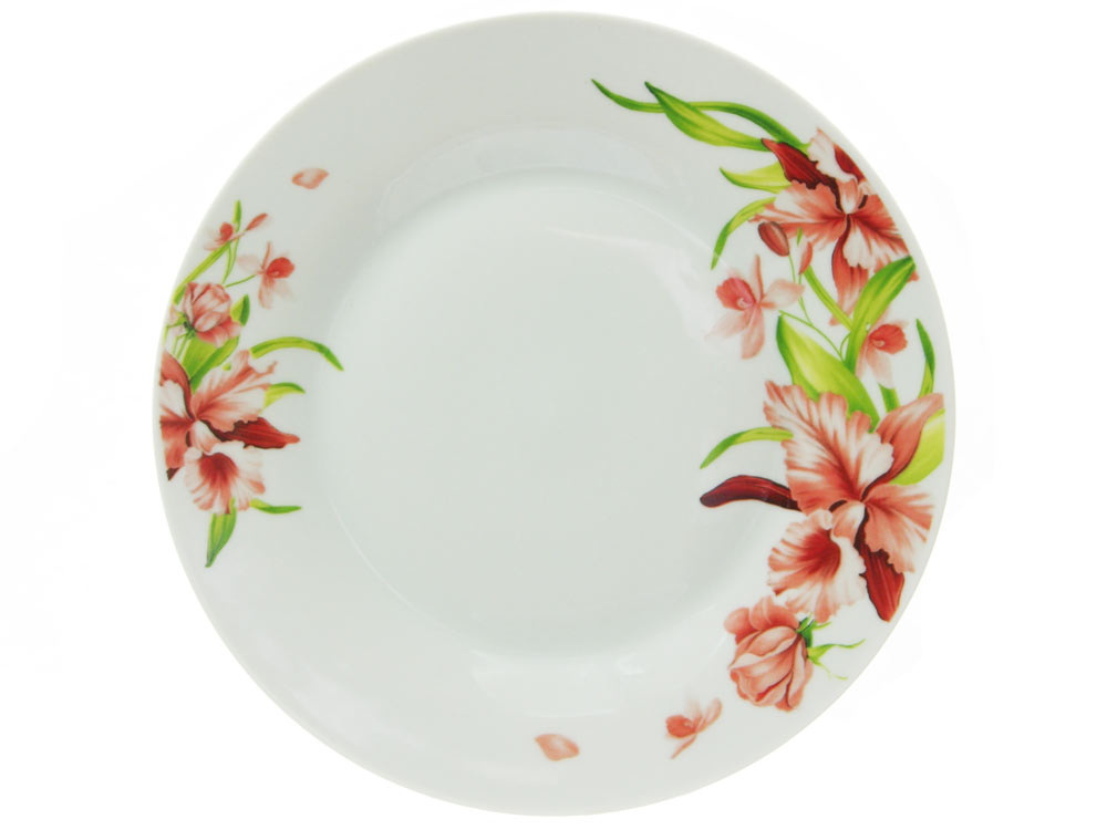 Тарелка обеденная MFK20252 "Вьюнок" 23см.